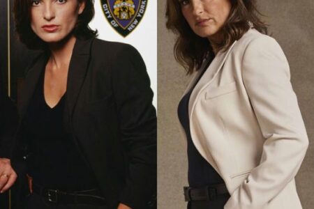 SVU episodes most acclaimed by audiences and critics.